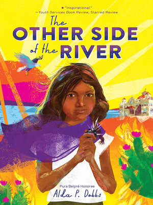 cover image of The Other Side of the River